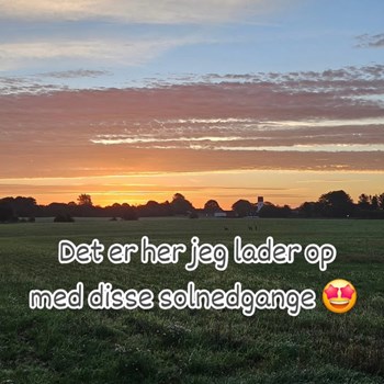 Opslagsbillede