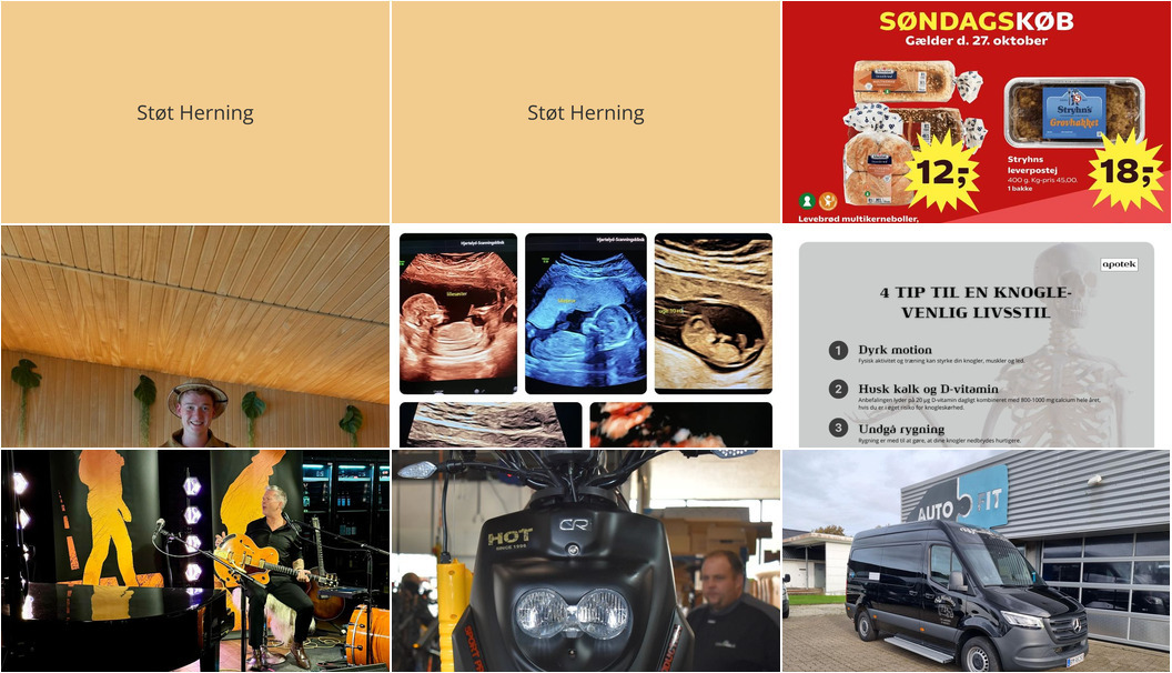 Nyt fra Herning Løve Apotek, Cykelkram ApS, Auto Fit A/S og 4 andre