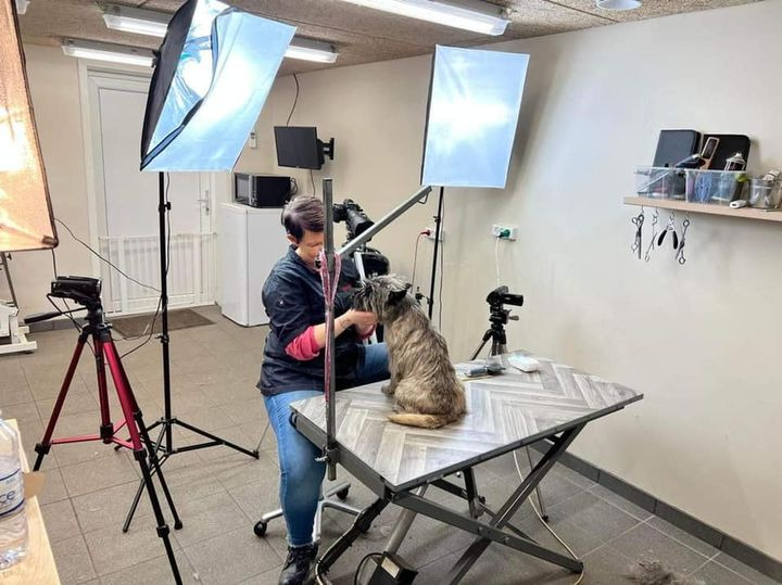 Hold trit med lokalområdet: Nyt fra Sæby