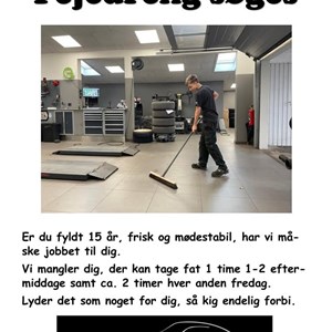 Opslagsbillede