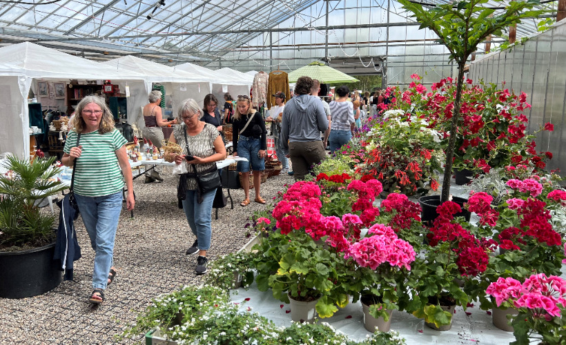 Sommermarked for hele familien i Læsø Historiepark