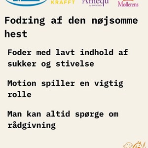 Opslagsbillede