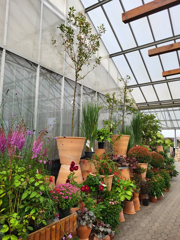 Det nyeste på Viborgs opslagstavle