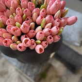 Livingshop Holstebro præsenterer smukke tulipaner fra Botane Studios i nye farver