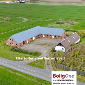 Opslagsbillede