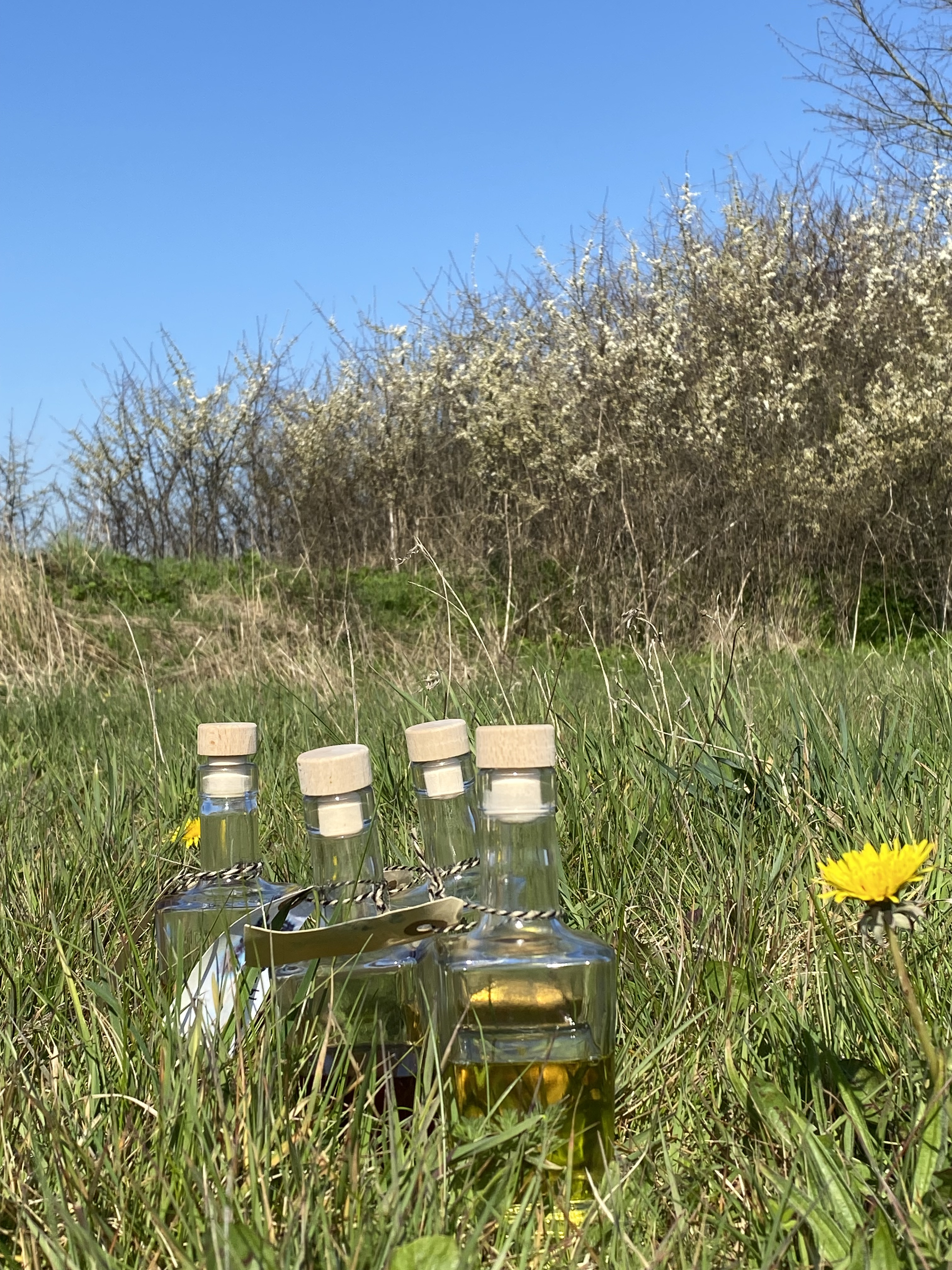 Tag på sanketur i Naturpark Nordals