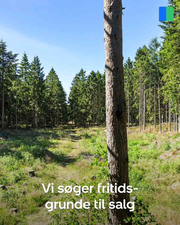 Nybolig Sæby søger fritidsgrunde i Lyngså skovområder