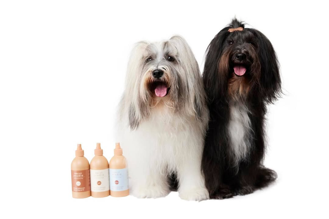 Center Dyreklinik lancerer ny plejeserie til hunde som perfekt julegaveidé