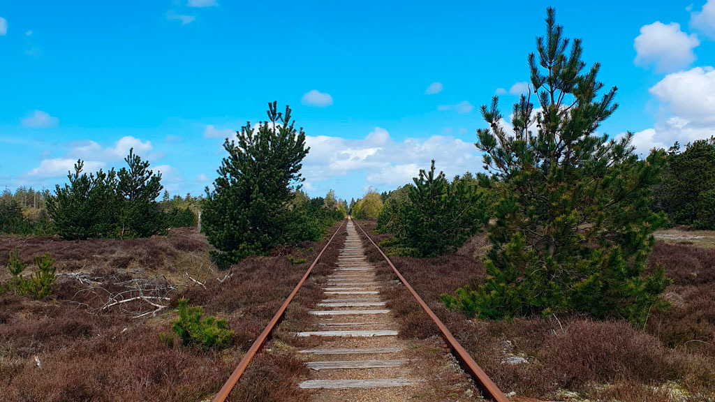 Oplev historiens vingesus ved Lønne