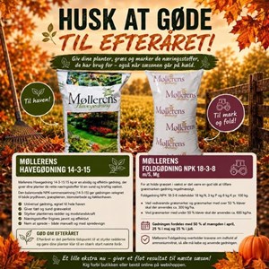 Opslagsbillede