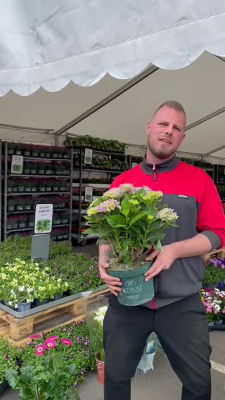 Opdatér dig her: Det nyeste fra Odder