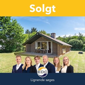 opslagsbillede