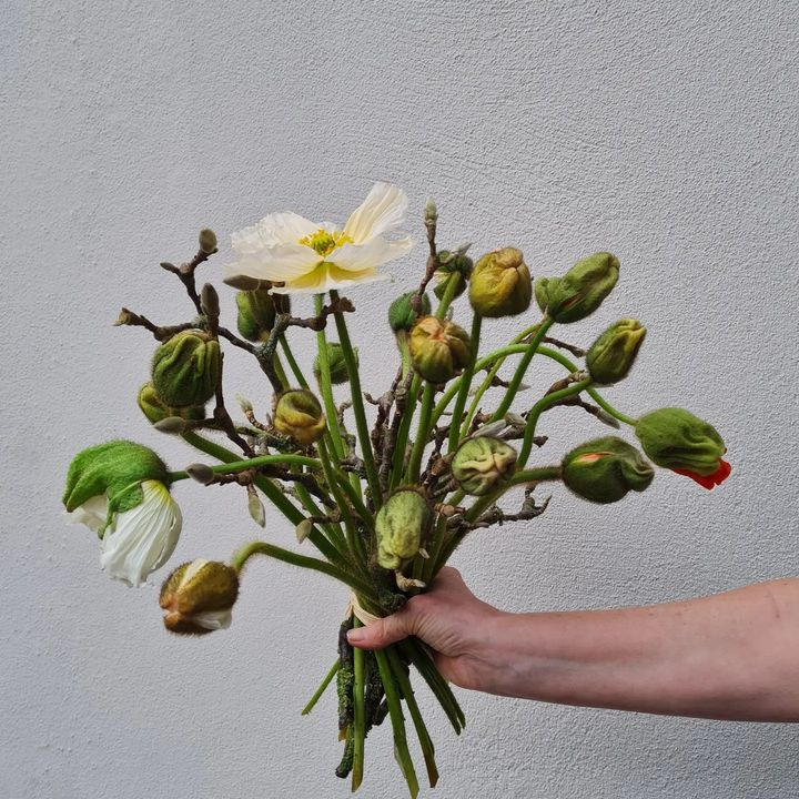 Hold dig ajour med dagens opdateringer fra Fredericia