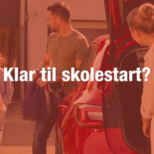 Opslagsbillede