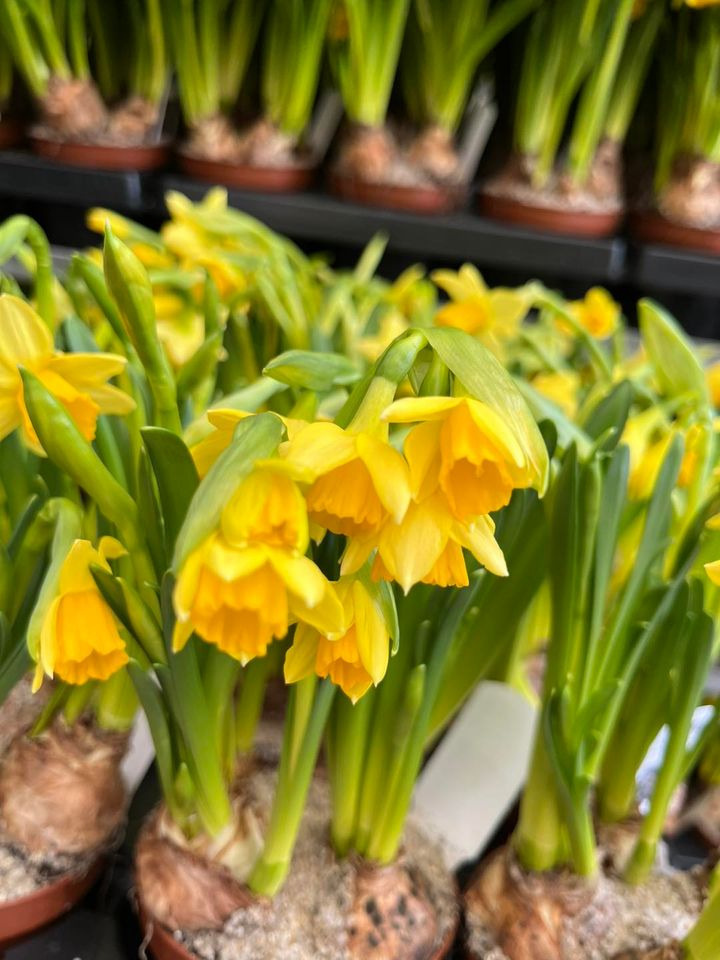 Se dagens updates fra Odder her