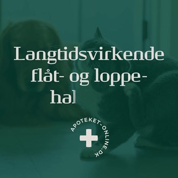 Opslagsbillede