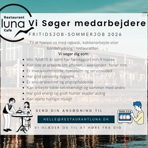 Opslagsbillede
