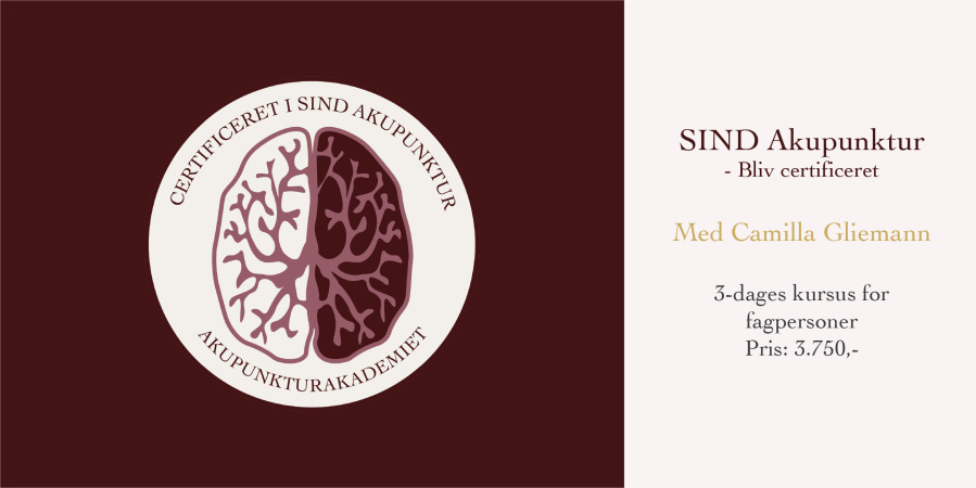Bliv certificeret i SIND akupunktur og udforsk de fire niveauer af TCM