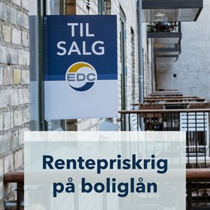 Opslagsbillede