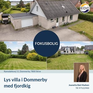 Opslagsbillede