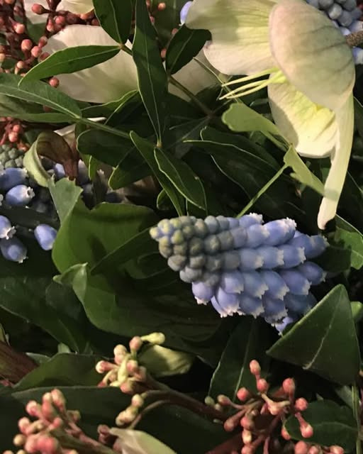 Fynbogården Blomster ApS bringer foråret tættere på med smukke buketter og tilplantninger