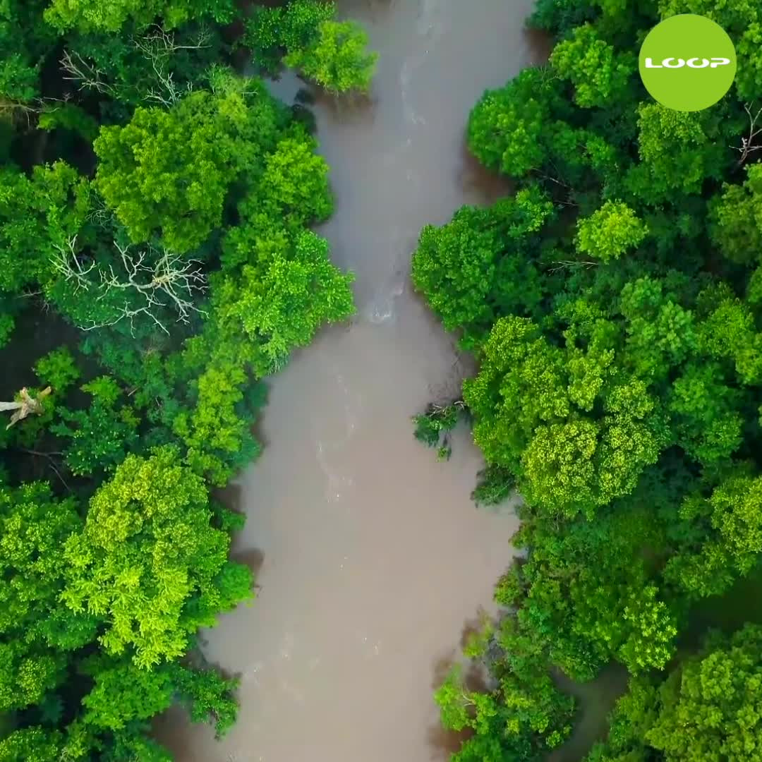 Hold trit med lokalområdet: Nyt fra Vejle