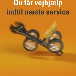 Opslagsbillede