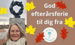 opslagsbillede