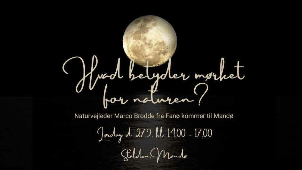 Oplev naturens mørke med Marco Brodde på Mandø