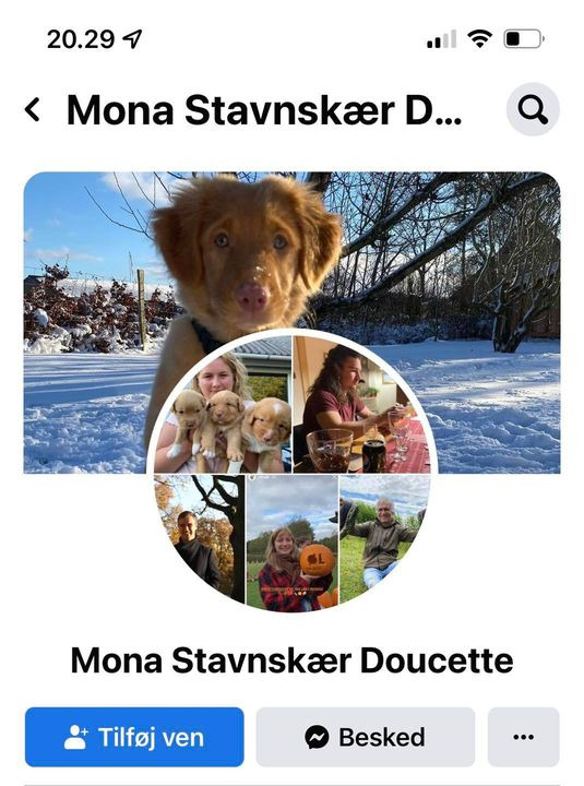 Det nyeste på Sæbys opslagstavle