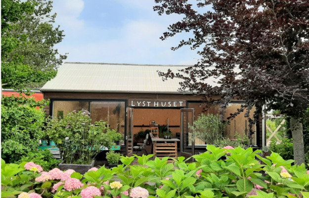 Dagens topnyheder på sociale medier fra dit område