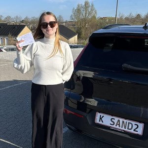 Opslagsbillede