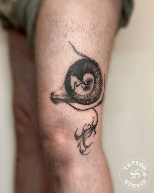 Tattoo Studio 96 præsenterer poetisk sneglemotiv af Alberte