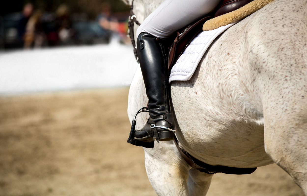 Rideklubben Astrup inviterer til ponydyrskue 