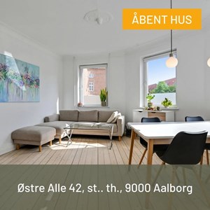 Opslagsbillede