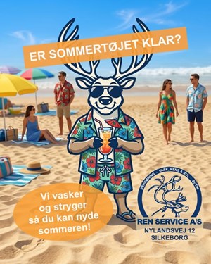 opslagsbillede
