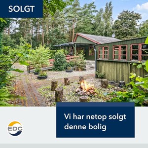 Opslagsbillede