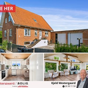 Opslagsbillede
