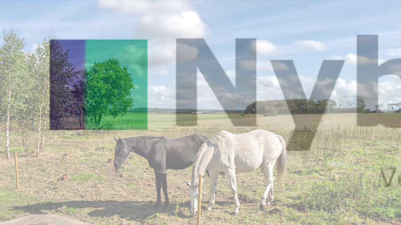 Hold trit med lokalområdet: Nyt fra Aars