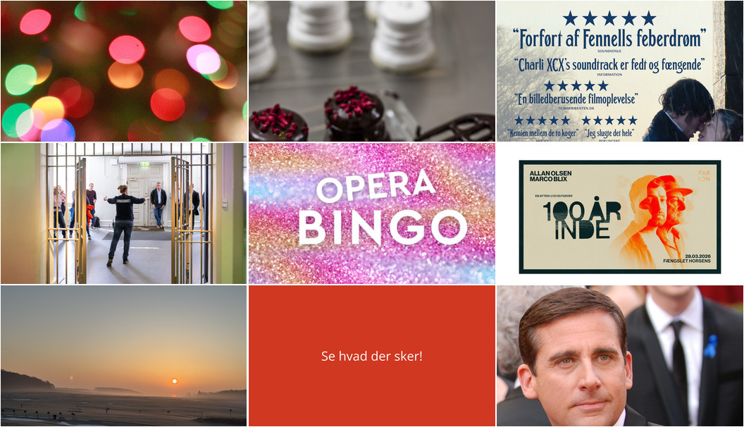 Weekenden i Horsens: Oplev foredrag, flødebollefremstilling og opera-bingo