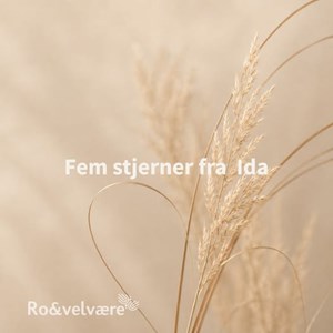 Opslagsbillede