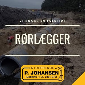 opslagsbillede