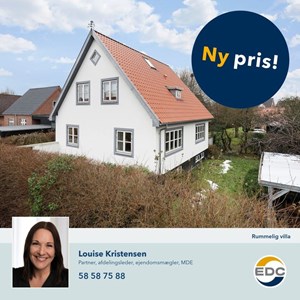 Opslagsbillede