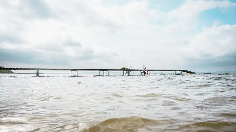 Thisted Kommune modtager millionbevilling til forbedring af Limfjordens vandmiljø