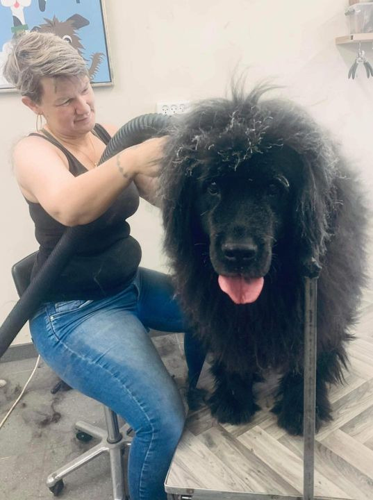 Nyt på opslagstavlen i Sæby