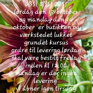 Opslagsbillede