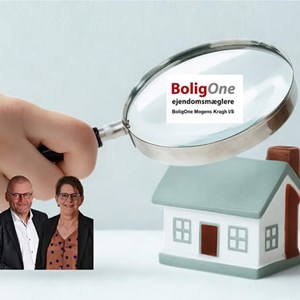 Opslagsbillede