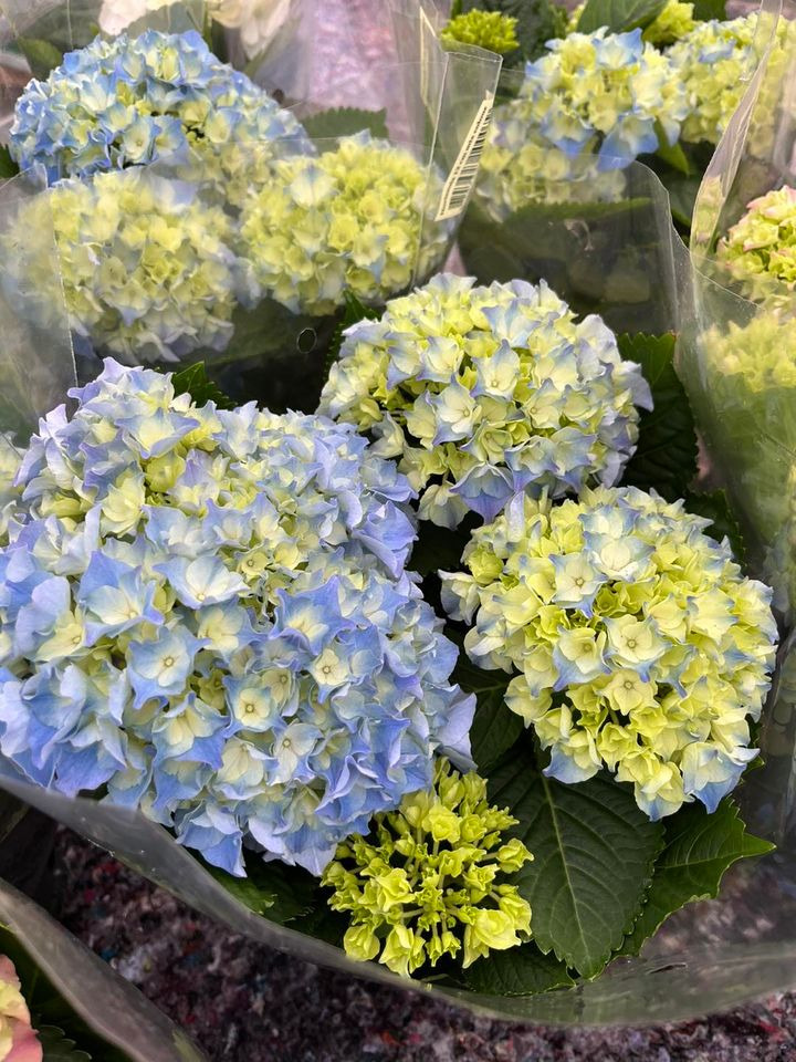 Opdatér dig her: Det nyeste fra Horsens