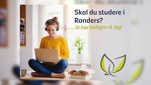 Skal du studere i Randers? RandersBolig har boligen til dig!