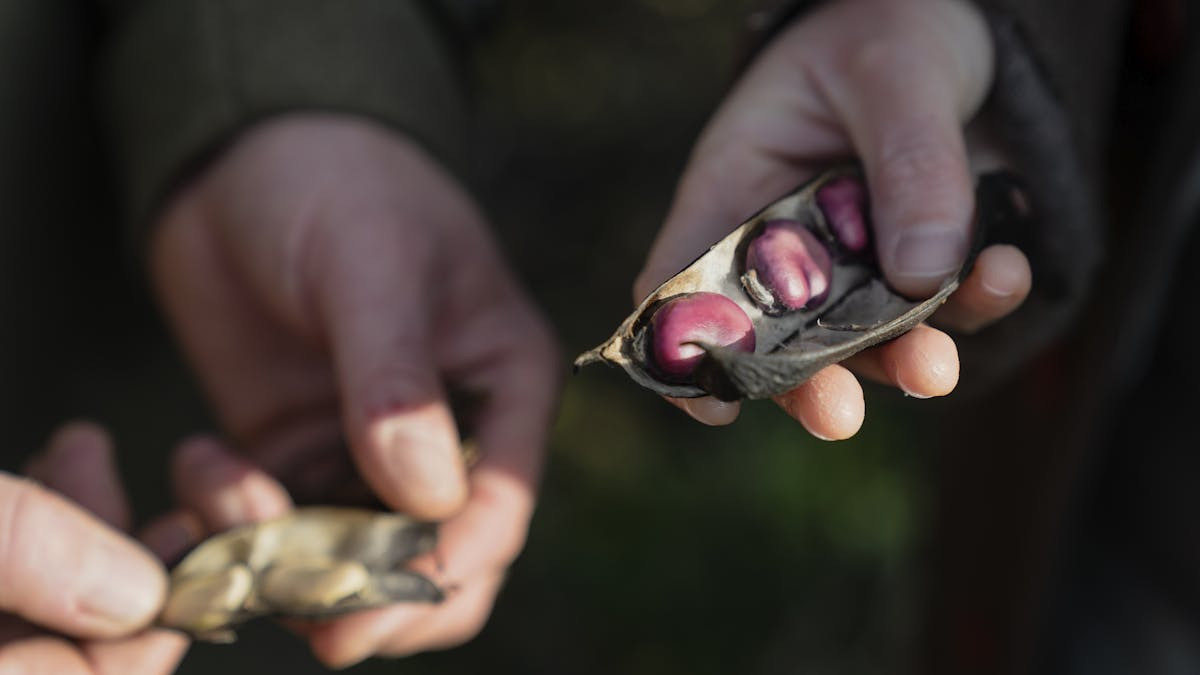 Kunst, poesi og sang på Rønnebæksholm